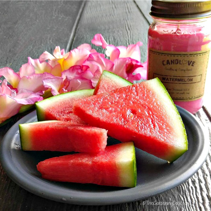 Candlove watermelon candle and sliced watermelon