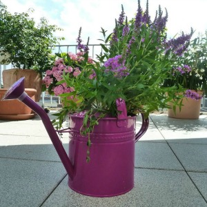Purple watering can with flowers in it sitting on a patio floor.