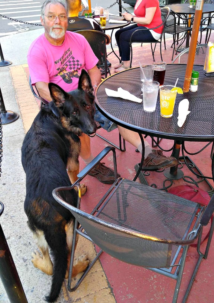 Restaurants with outside eating are the perfect place to dine with your four legged friend.