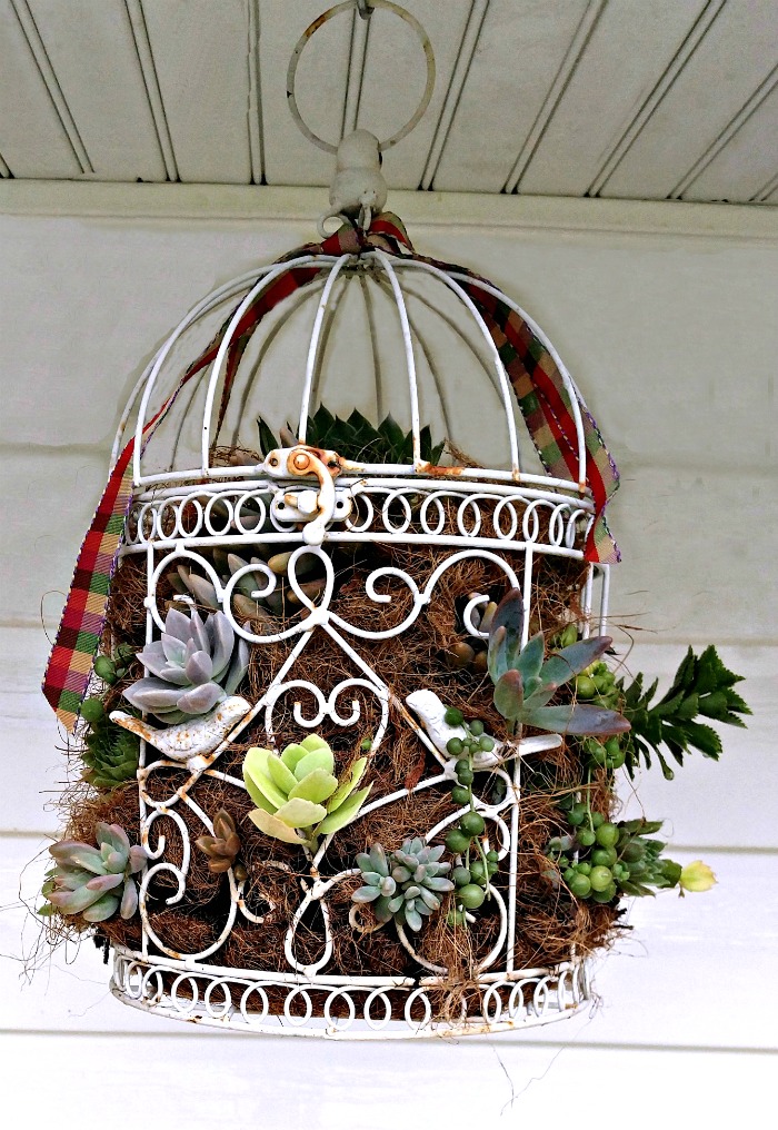 This succulent-bird-cage-planter looks great hanging outside