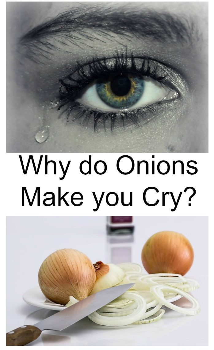 Why do onions make you cry? The answer may surprise you, and it starts in the soil.