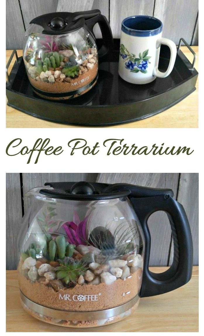 This Coffee pot Terrarium is a fun way to add some pretty plant decor. It keeps the humidity level right so that watering is not needed very often.