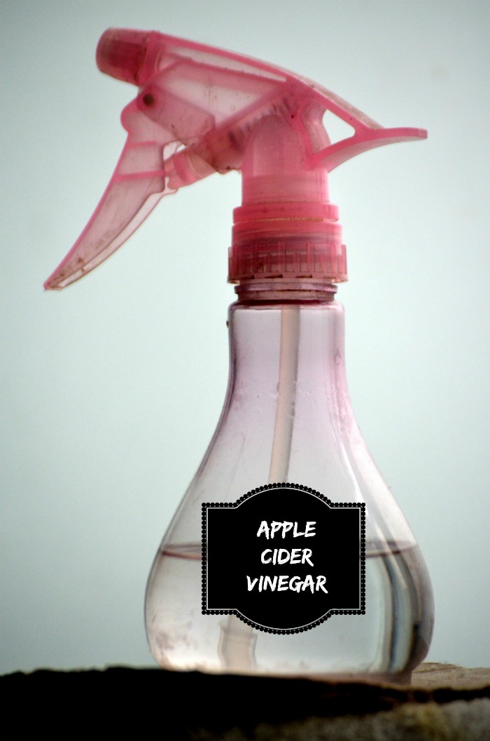 Apple cider vinegar spray in a bottle with a red top.
