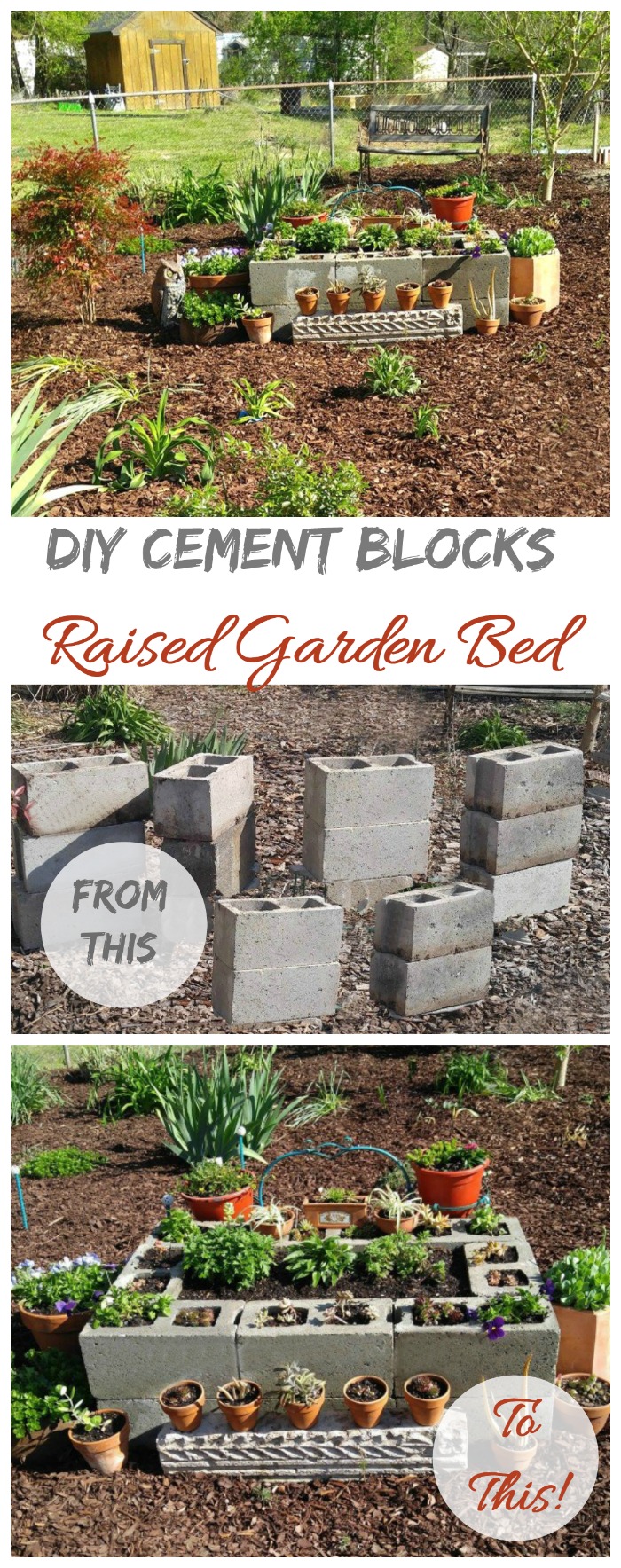 This cement block raised garden bed is simple to make and turns trash into treasure. It's perfect for growing succulents!