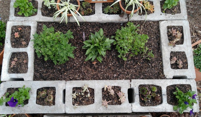 Top view of the raised bed
