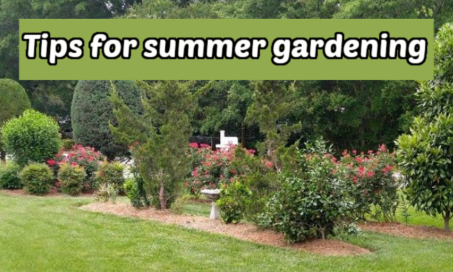 A lush garden bed and lawn with a green text box that reads tips for summer gardening.