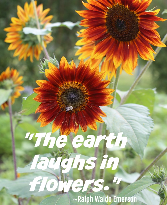 Ralph Waldo Emerson quote "The earth laughs in flowers."