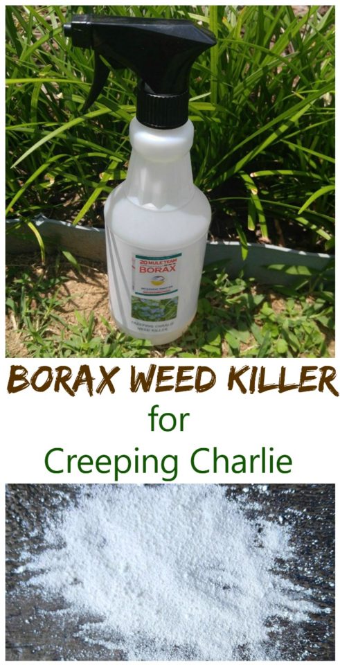 Borax Weed Killer