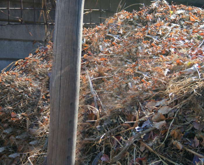 Compost pile