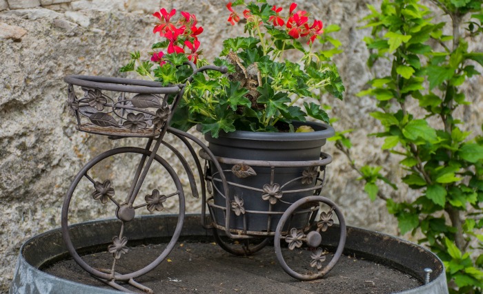 mini bicycle planter