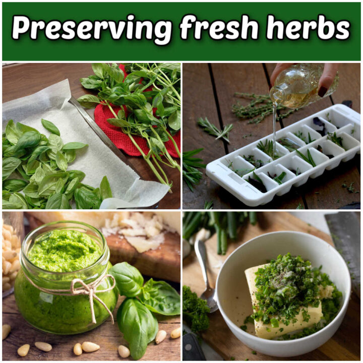 A collage with pictures of drying herbs, freezing herbs, making herb pesto and making herb butter. Green text box reads Preserving fresh herbs.