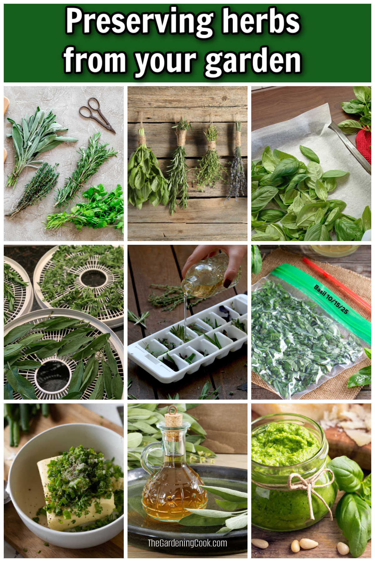 A collage showing pictures of herbs - drying, freezing, herb butter, herb pesto, and herb vineagars. Green text box reads Preserving herbs from your garden.