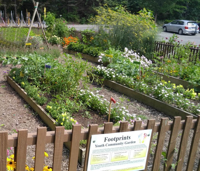 Youth community garden