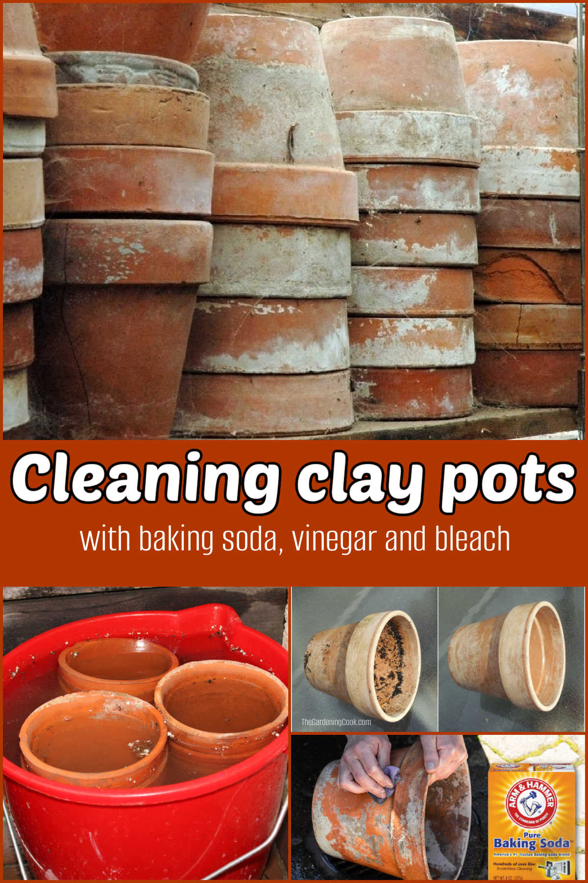 A collage showing pictures of dirty clay pts, a bucket with pots soaking and hands cleaning pots with baking soda. Tan text block reads Cleaning clay pots with baking soda, vinegar and bleach.