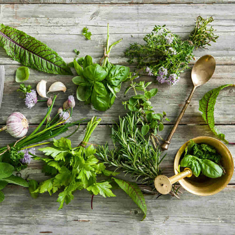 Herb identification: Piles of fresh herbs on a wooden table.