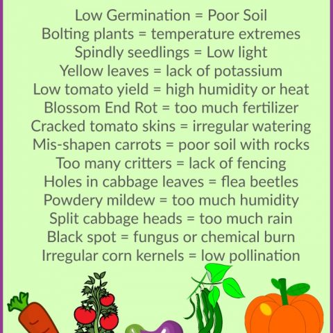 Vegetable Garden Problems. Click through to find the solutions