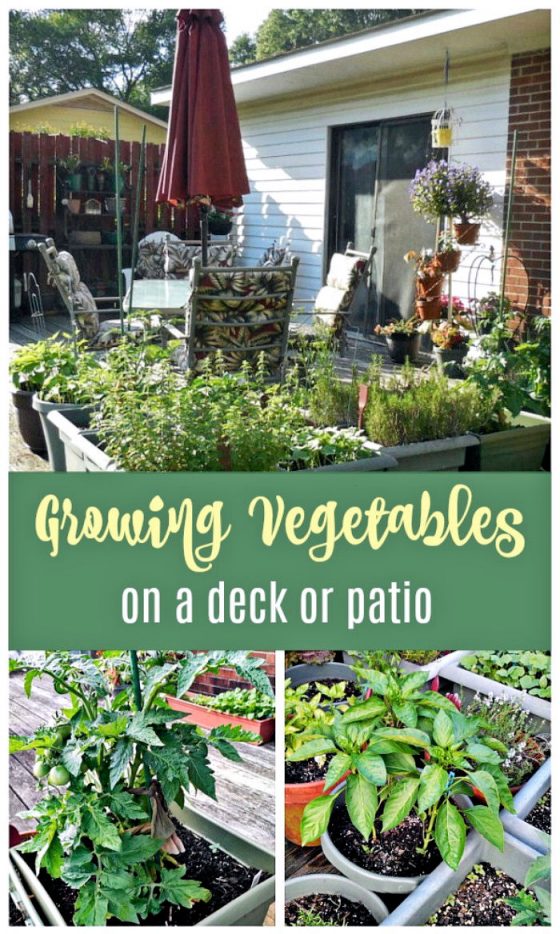 Vegetable Garden on a Deck Tips for Growing Vegetables on a Patio