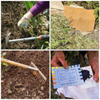 Pictures showing the preparing spring garden beds tasks.