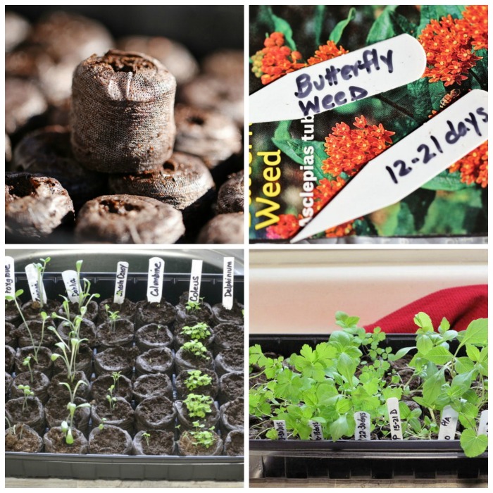 25 each Growing Supplies Jiffy 2-1/4 Inch Square Peat Pots Seed Starting 