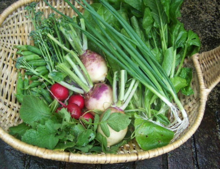 Basket with root vegetables and spring onions.