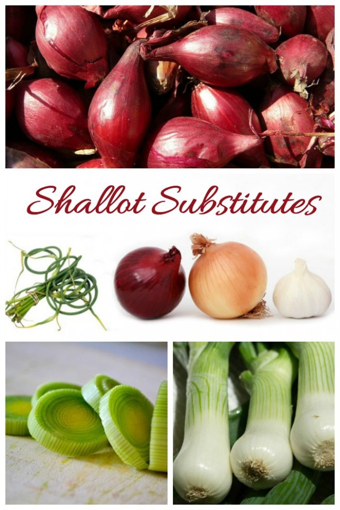 Shallot Substitutes Replacements to use When you Haven't Time To Shop