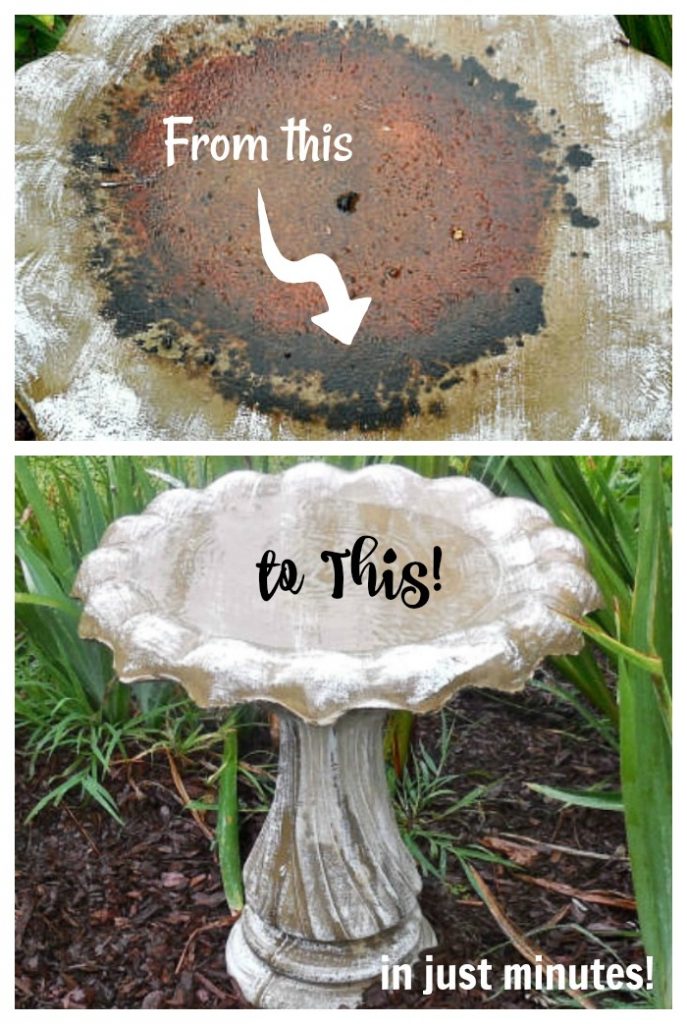 How To Clean Bird Bath With Vinegar at Lorraine Evans blog