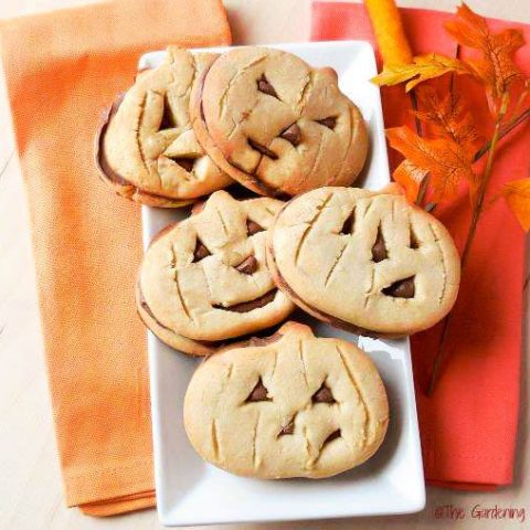 Spooky Halloween Pumpkin Cookies