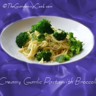 Creamy Vegan Broccoli Pasta with Garlic and Onions