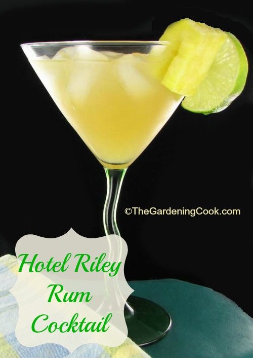 Hotel Riley Rum Cocktail