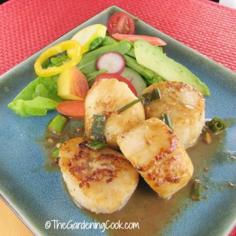 Seared Scallops White Wine Butter Sauce