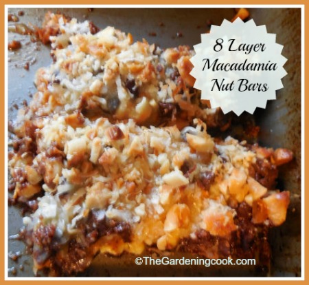 High End 8 Layer Bars with Macadamia Nuts