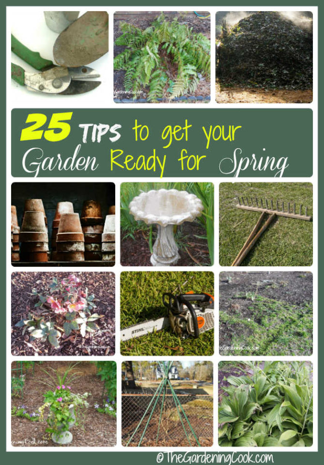 25 Spring Garden Tips & Checklist - Get Your Garden Ready for Spring