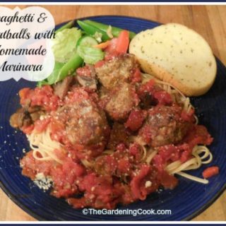 Spaghetti and Meatballs with Home Made Marinara Sauce
