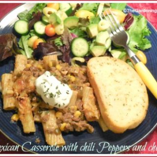 Mexican Casserole with Onions Peppers Chili and Corn