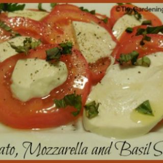 Tomato and Mozzarella Salad with Basil
