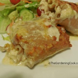 Chicken Alfredo Lasagne Roll Ups