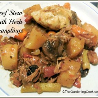 Hearty Beef Stew with Herbed Dumplings