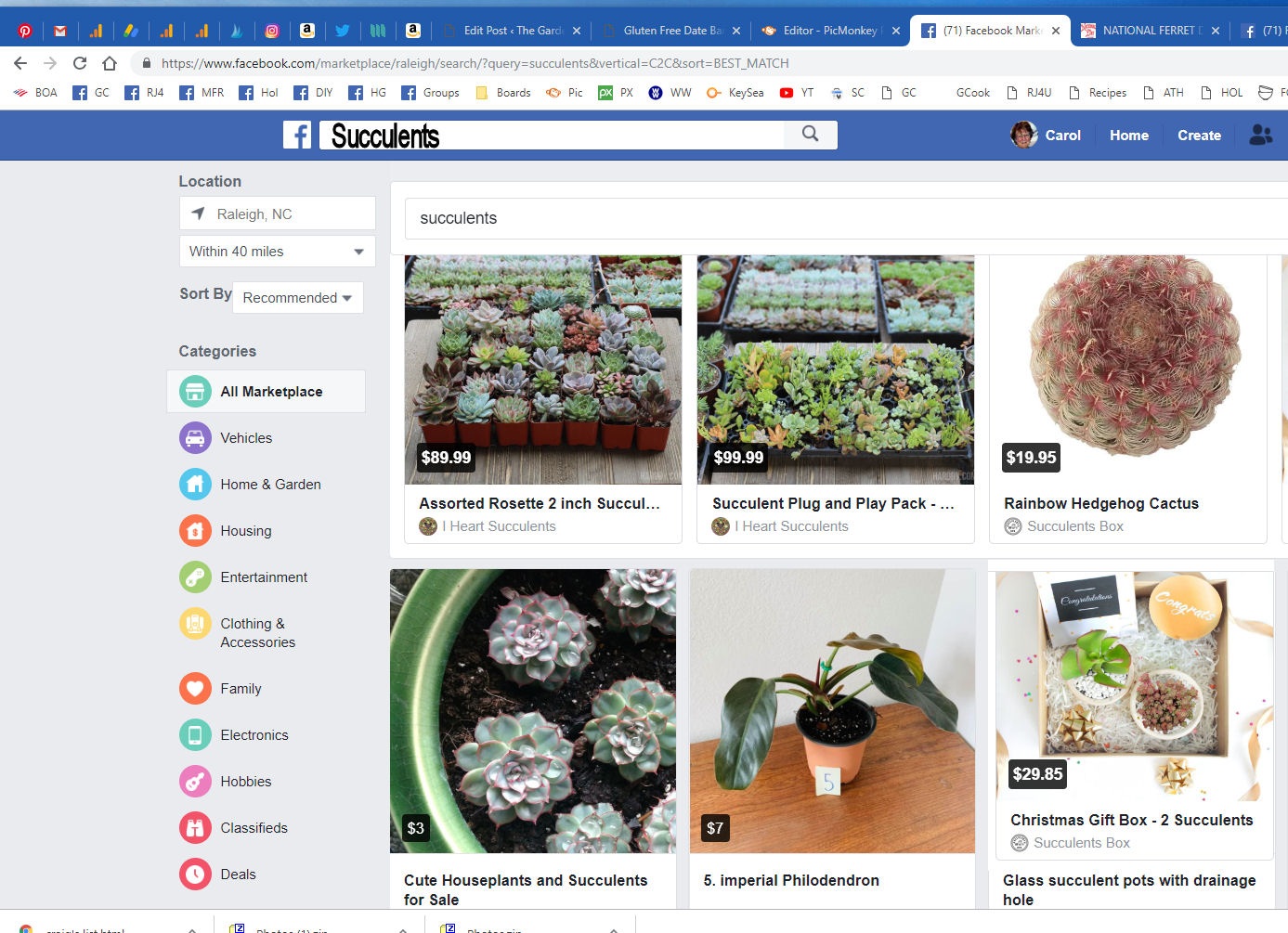 Succulents on Facebook marketplace