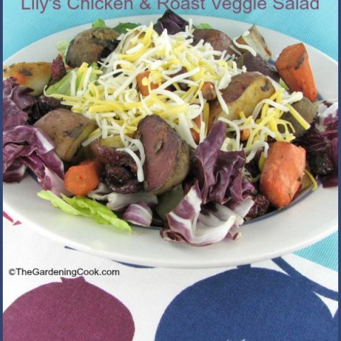 Roasted Vegetables and Chicken Salad