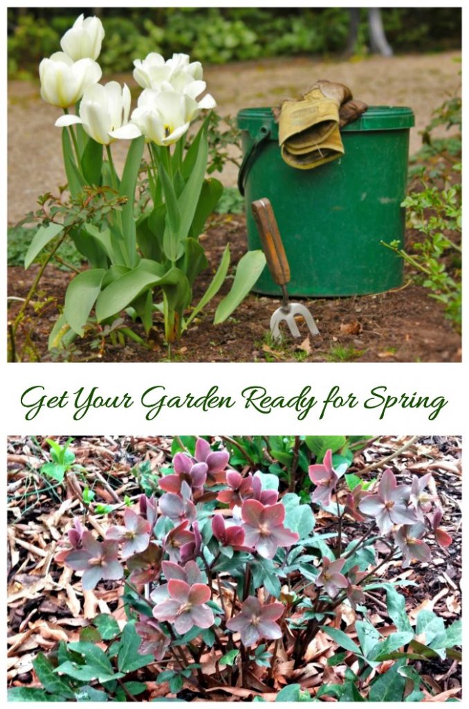 25 Spring Garden Tips & Checklist - Get Your Garden Ready for Spring