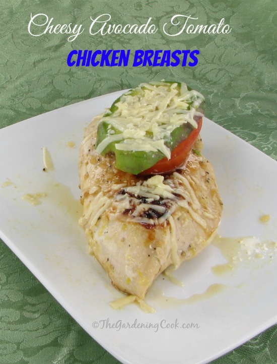 Tomato Avocado Chicken with Melted Cheese