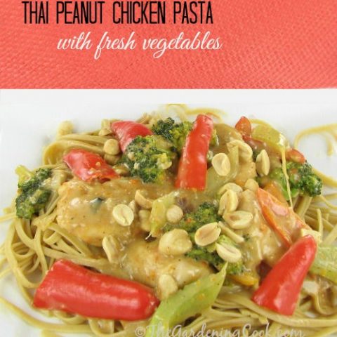 Peanut Chicken Pasta with Fresh Vegetables