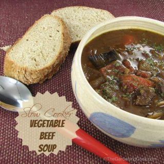 Crock Pot Vegetable Beef Soup