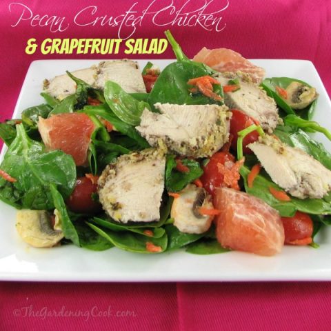 Pecan Crusted Spinach Salad