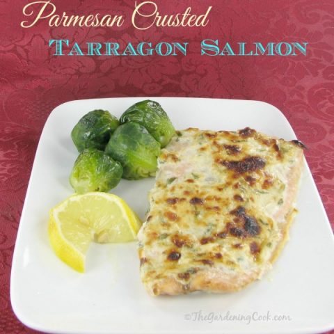 Parmesan Crusted Salmon Fillets