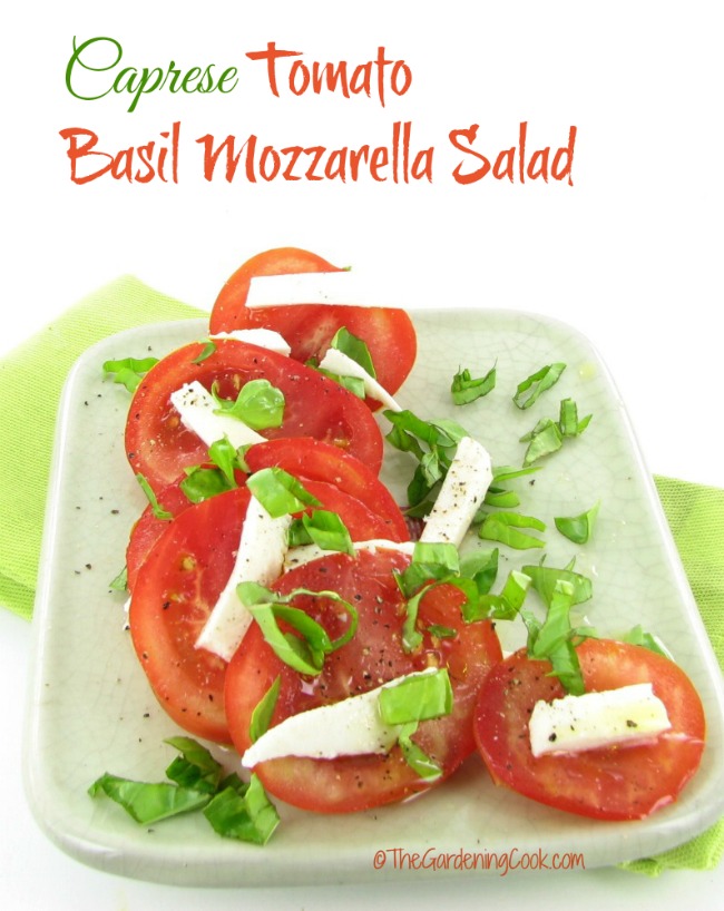Caprese Tomato Basil Mozzarella Salad
