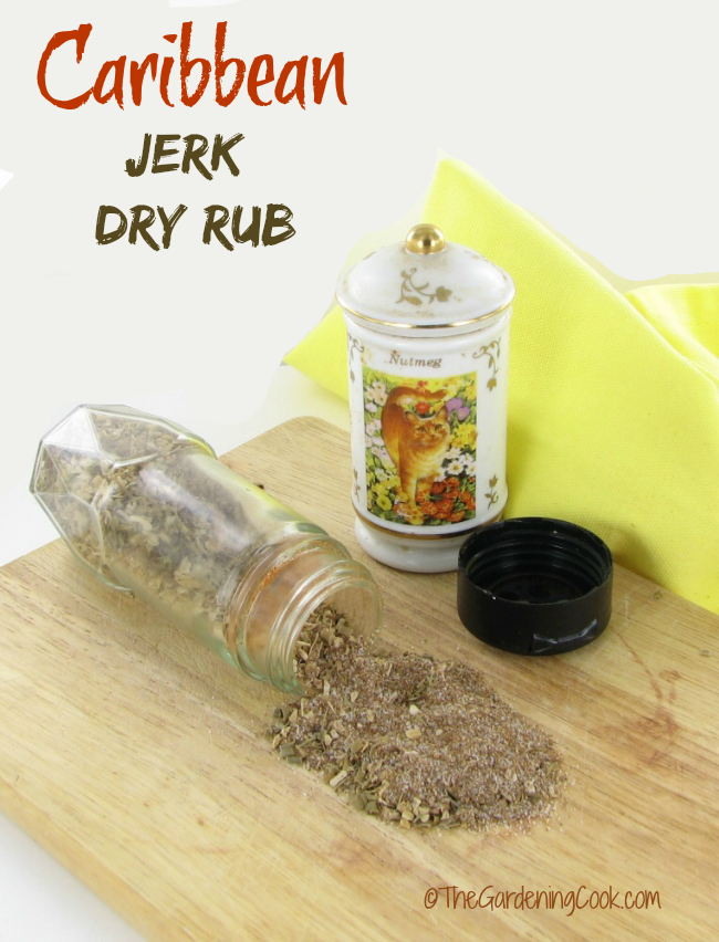 Caribbean Jerk Dry Rub for Burgers