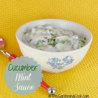 Cucumber Mint Sauce