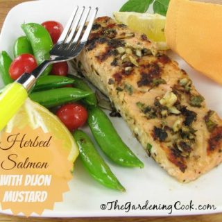 Herbed Salmon with Dijon Mustard