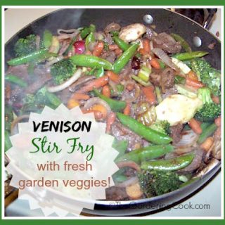 Venison Stir Fry with Garden Vegetables